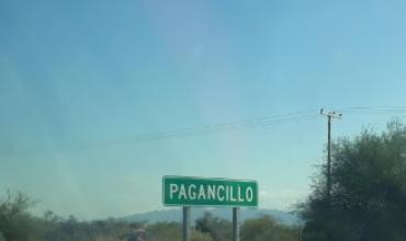 Pagancillo: un incendio en un descampado se volvió incontrolable y movilizó a Bomberos