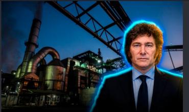 Biocombustibles: Gustavo Gómez advirtió por el impacto ambiental de aumentar las mezclas