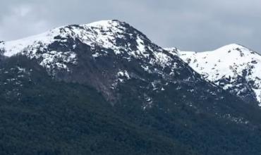 Las intensas lluvias en Neuquén provocaron un derrumbe de un cerro: dejó árboles flotando en el lago Nahuel Huapi