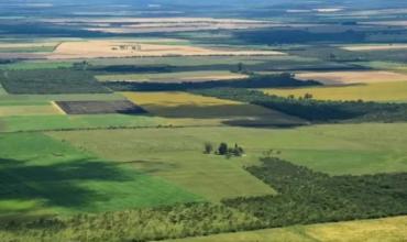 La Corte Suprema revocó el fallo que había declarado inconstitucional la derogación de la Ley de Tierras
