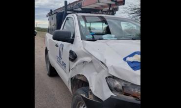 Una camioneta de Edelar chocó contra una vaca en La Colonia