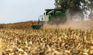 Entre la sequía y la amenaza de El Niño: estiman otra cosecha récord
