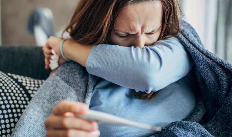 355678_1791301843.jpg