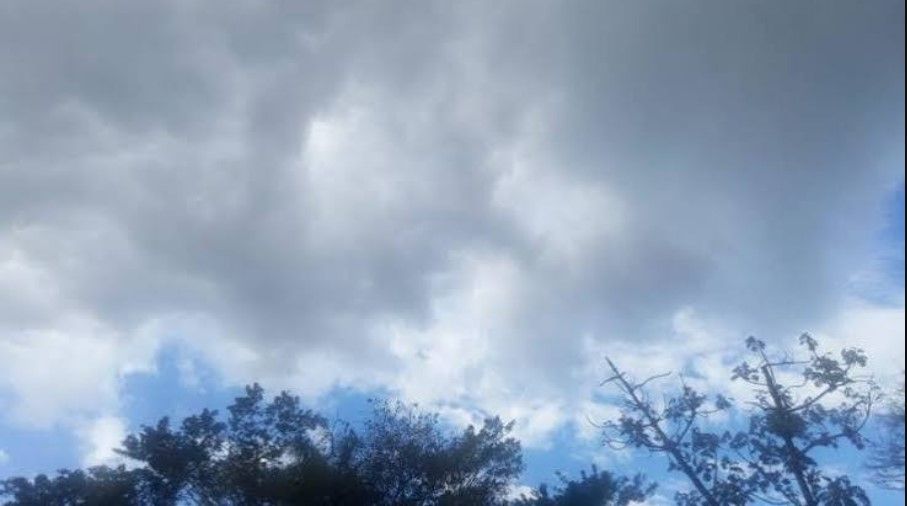 356151_1791585754.jpg
