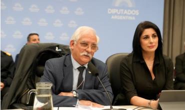 Malvinas en Hamburgo, trabada en Diputados: la Ley de Soberanía sigue sin dictamen