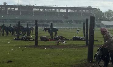 Cayó un rayo en el Jockey Club de San Isidro: murieron cuatro yeguas de polo