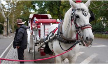 El fin de una polémica tradición: Nueva York prohibió los carruajes tirados por caballos en el Central Park