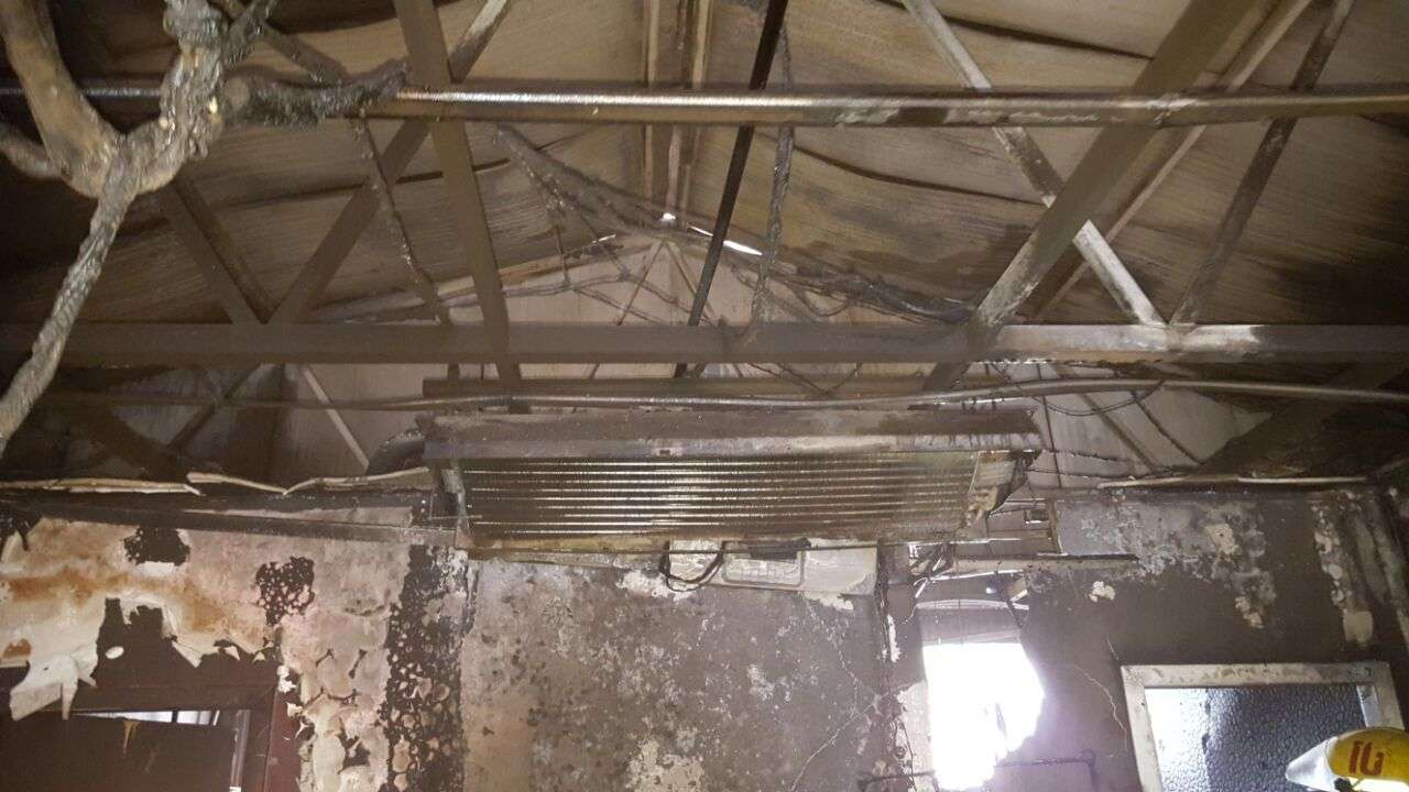 53541_1458424114.jpg