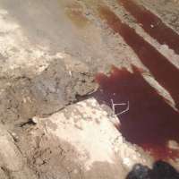 <br />
<b>Notice</b>:  Undefined index: $foto in <b>/var/www/fenix951/public/notidenuncia_ver.php</b> on line <b>106</b><br />
