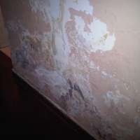 <br />
<b>Notice</b>:  Undefined index: $foto in <b>/var/www/fenix951/public/notidenuncia_ver.php</b> on line <b>106</b><br />
