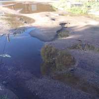 <br />
<b>Notice</b>:  Undefined index: $foto in <b>/var/www/fenix951/public/notidenuncia_ver.php</b> on line <b>106</b><br />
