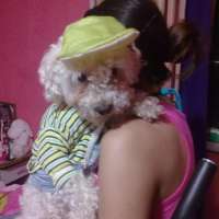 <br />
<b>Notice</b>:  Undefined index: $foto in <b>/var/www/fenix951/public/notidenuncia_ver.php</b> on line <b>106</b><br />
