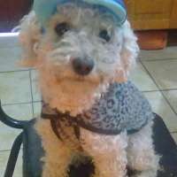 <br />
<b>Notice</b>:  Undefined index: $foto in <b>/var/www/fenix951/public/notidenuncia_ver.php</b> on line <b>106</b><br />
