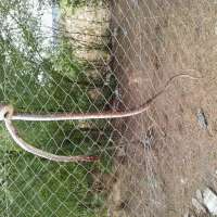 <br />
<b>Notice</b>:  Undefined index: $foto in <b>/var/www/fenix951/public/notidenuncia_ver.php</b> on line <b>106</b><br />
