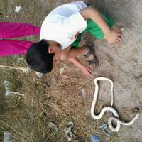 <br />
<b>Notice</b>:  Undefined index: $foto in <b>/var/www/fenix951/public/notidenuncia_ver.php</b> on line <b>106</b><br />
