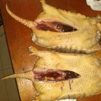 <br />
<b>Notice</b>:  Undefined index: $foto in <b>/var/www/fenix951/public/notidenuncia_ver.php</b> on line <b>106</b><br />
