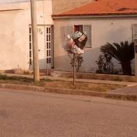 <br />
<b>Notice</b>:  Undefined index: $foto in <b>/var/www/fenix951/public/notidenuncia_ver.php</b> on line <b>106</b><br />
