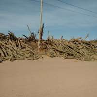 <br />
<b>Notice</b>:  Undefined index: $foto in <b>/var/www/fenix951/public/notidenuncia_ver.php</b> on line <b>106</b><br />
