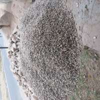 <br />
<b>Notice</b>:  Undefined index: $foto in <b>/var/www/fenix951/public/notidenuncia_ver.php</b> on line <b>106</b><br />
