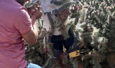 Doloroso accidente en cercanías del Parque de la Ciudad: un ciclista cayó sobre un cactus