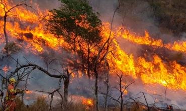 Se registraron incendios forestales activos en La Rioja y Catamarca