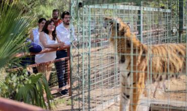 La Municipalidad de La Rioja trasladará 19 grandes felinos de su exzoológico a un santuario en Entre Rios