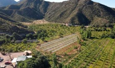La primera finca de turismo cannábico en Argentina: está en Sañogasta, La Rioja