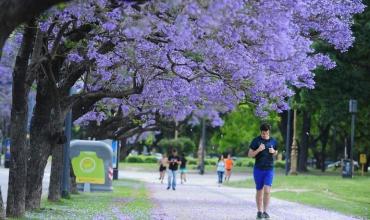 ¿Cómo estará el clima en el inicio de la primavera? 
