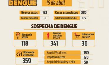 Emergencia Dengue: se reportaron 193 nuevos casos este lunes lo que hace un total de 3813 