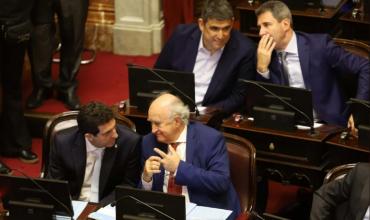 A pedido de Cristina Kirchner, el peronismo busca simplificar el proceso de afiliación a los partidos políticos
