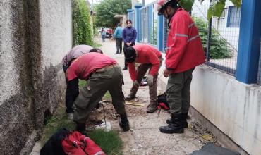 Rescatan a un perro atrapado en un caño subterráneo en el barrio Benjamín Rincón
