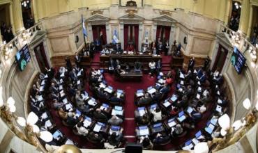 Ficha Limpia: dos senadores de Santa Cruz se manifestaron a favor del proyecto que complica a Cristina Kirchner