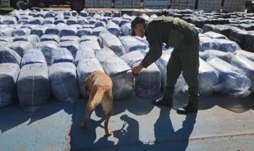 Millonario golpe al narcotráfico en Córdoba: incautan 7 mil kilos de hojas de coca