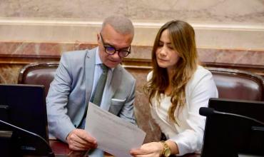 Quiénes son los dos senadores que cambiaron de postura y votaron en contra de ficha limpia en el Senado