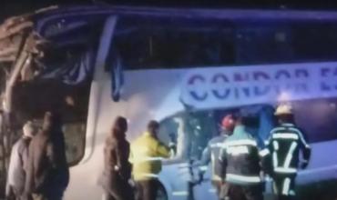 Choque frontal entre un micro y un camión en Ruta 3: hay al menos cuatro muertos