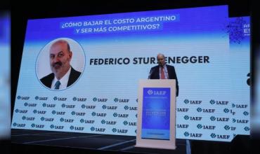 "La motosierra permite bajar impuestos", destacó Sturzenegger