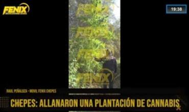 Secuestran 75 kilos de marihuana en un operativo realizado al norte de Chepes