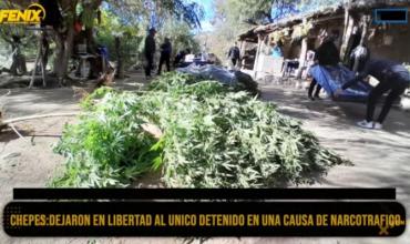 Chepes: Fue liberado el único imputado por tenencia de plantas de marihuana. “Él desconocía totalmente la existencia de esas plantas”, aseguró su abogado