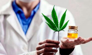 El Gobierno flexibilizó los requisitos para el uso y cultivo de cannabis medicinal