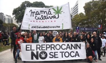 El Gobierno argentino modifica los requisitos del Reprocann para el uso y cultivo de cannabis medicinal.