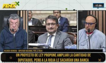 Ricardo Herrera, diputado nacional por La Rioja: “No vamos a acompañar un proyecto que le quite representación a nuestra provincia”