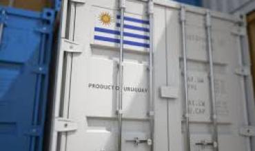 Las exportaciones de Uruguay se incrementaron en un 4% en el período enero-mayo