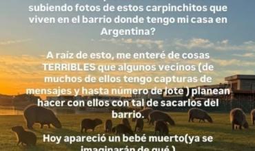 Caro Calvagni denuncia muerte de un carpincho en su country y exige acción legal