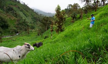 Gobierno de Noboa reabrió catastro minero para otorgar nuevas concesiones en Ecuador