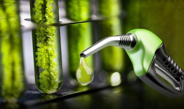 La transición energética mundial se aceleró en 2025: en qué lugar está Argentina
