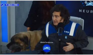 Javier Milei apareció en vivo en un streaming junto a Conan para ayudar a dos refugios de perros