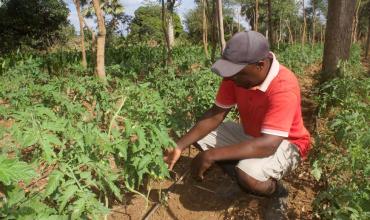 Zambia, primer país africano en declararse en default, y la urgencia de una condonación de deuda