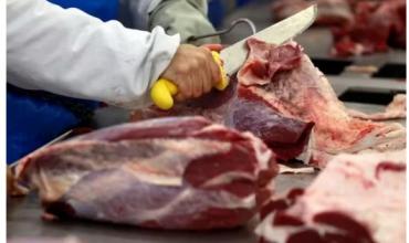 El consumo de carne vacuna en Argentina sigue siendo uno de los más bajos de la historia