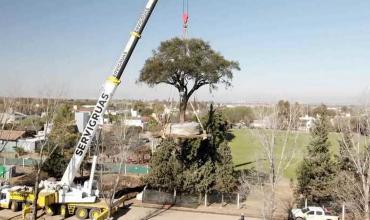 Remueven el quebracho de 280 años en Villa Allende pese a la resistencia vecinal