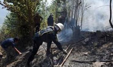Bolivia declaró “Situación de Emergencia Nacional” por incendios